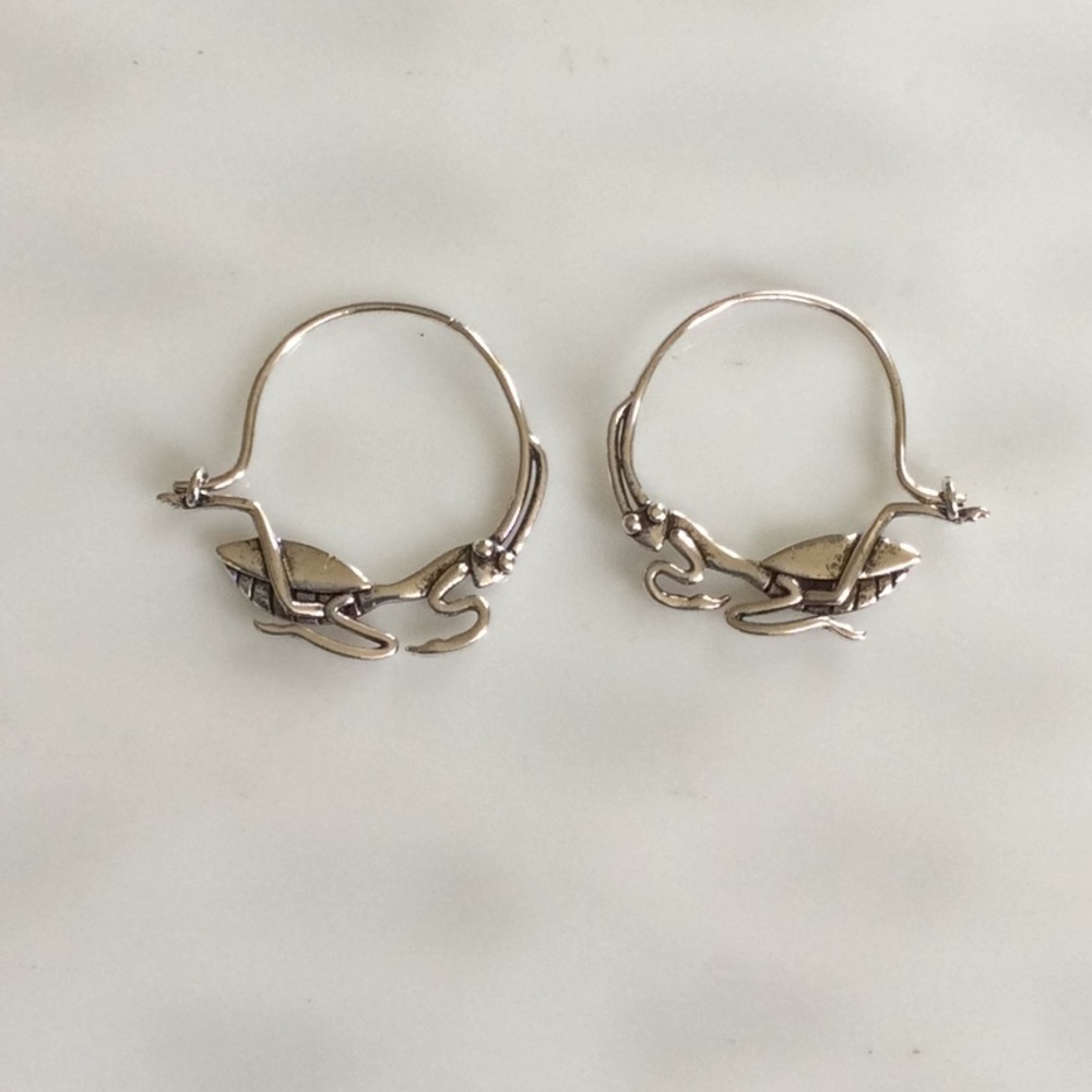 Whimsical GrassHopper Hoop Earrings